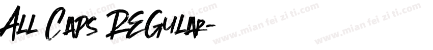 All Caps Regular字体转换